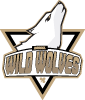 Kassel Wild Wolves